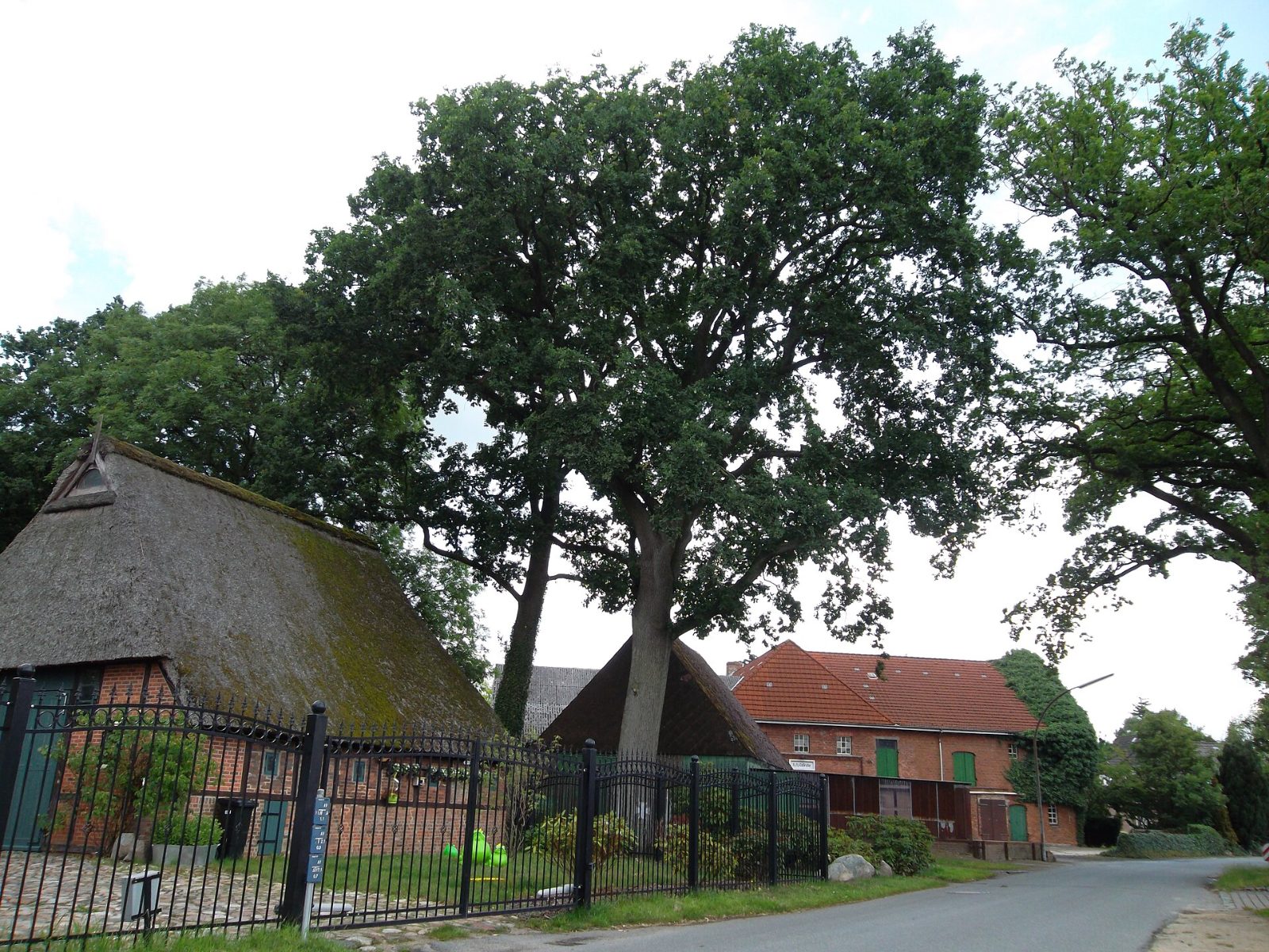 Friedenseiche in Bönningstedt – Immobilienmakler Bönningstedt